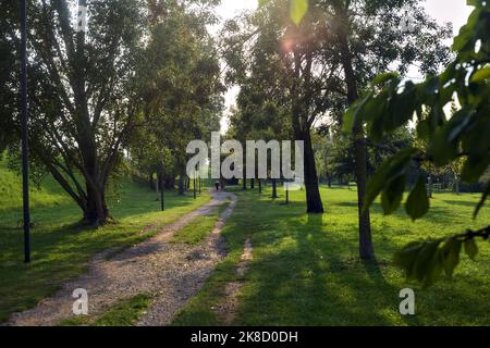 Unbefestigte Pfad zwischen Bäumen in einem Park bei Sonnenuntergang Stockfoto