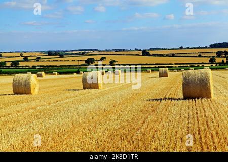 Norfolk Agrarlandschaft, Rundstroh, Heu, Ballen, nach der Ernte, England, Großbritannien Stockfoto