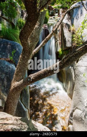 Madera Falls bildet eine elegante fächerähnliche Form, wenn der Wasserstand genau richtig ist. Madera Canyon in den Santa Rita Bergen in der Nähe von Green Valley, AZ. Stockfoto