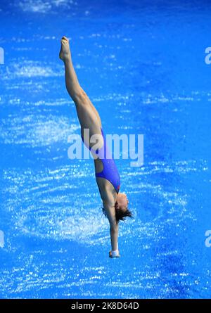 Berlin, Deutschland. 22. Oktober 2022. Chen Yuxi aus China tritt beim Frauen-Plattformfinale 10m beim FINA Diving World Cup in Berlin am 22. Oktober 2022 an. Quelle: Ren Pengfei/Xinhua/Alamy Live News Stockfoto