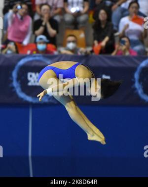 Berlin, Deutschland. 22. Oktober 2022. Chen Yuxi aus China tritt beim Frauen-Plattformfinale 10m beim FINA Diving World Cup in Berlin am 22. Oktober 2022 an. Quelle: Ren Pengfei/Xinhua/Alamy Live News Stockfoto