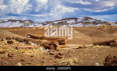 Eine frische Schneestaubung bedeckt die Hügel des Petrified Forest National Park. Stockfoto