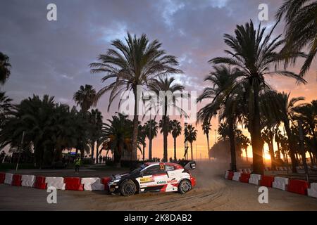 Katalonien, Spanien. 22. Oktober 2022. Elfyn EVANS, Scott MARTIN, TOYOTA GAZOO RACING Credit: Independent Photo Agency/Alamy Live News Stockfoto