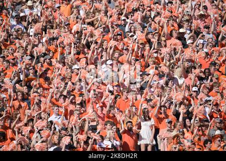 Stillwater, OK, USA. 22.. Oktober 2022. Während des Spiels zwischen der University of Texas Longhorns und den Cowboys der Oklahoma State University im Boone Pickens Stadium in Stillwater, OK. Cowboys besiegten die Langhörner, 41-34. Patrick Green/CSM/Alamy Live News Stockfoto