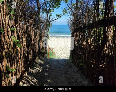 Strand an der Ostsee. Ausgang zum Strand. Küstenlandschaft mit Sandstrand, Grasdünen Stockfoto