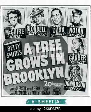 DOROTHY McGuire JOAN BLONDLL JAMES DUNN LLOYD NOLAN PEGGY ANN GARNER und TED DONALDSON in A TREE GROWS IN BROOKLYN 1945 Regie ELIA KAZAN Roman Betty Smith Musik Alfred Newman Produzent Louis D. Lightton Twentieth Century Fox Stockfoto