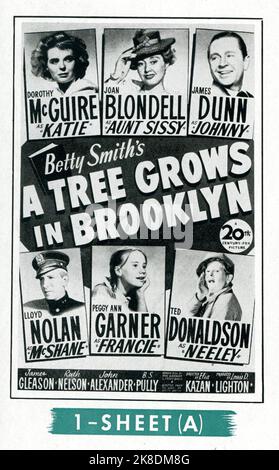 DOROTHY McGuire JOAN BLONDLL JAMES DUNN LLOYD NOLAN PEGGY ANN GARNER und TED DONALDSON in A TREE GROWS IN BROOKLYN 1945 Regie ELIA KAZAN Roman Betty Smith Musik Alfred Newman Produzent Louis D. Lightton Twentieth Century Fox Stockfoto