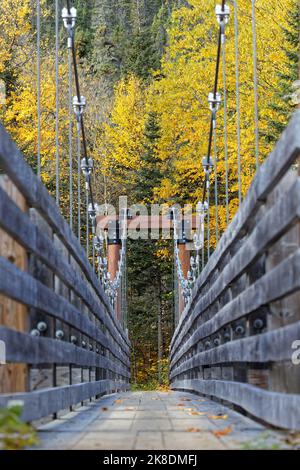 Kleine Holzbrücke auf La Riviere-des-Martres auf dem Riverain-Pfad, eine bekannte Wanderung im Parc des Hautes-Gorges-de-la-Malbaie Stockfoto