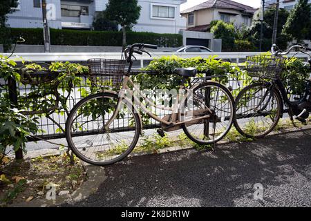 Tokio, Japan. 21. Oktober 2022. Fahrräder, die an einer Autobahn in Den-en-chofu in der Nähe der Grenze zwischen Tokio und Kawasaki geparkt sind. Transport, Nachhaltigkeit.Japan hat vor kurzem nach mehr als zwei Jahren Reiseverbote aufgrund der COVID-19-Pandemie wieder für den Tourismus geöffnet. Der Yen hat gegenüber dem US-Dollar stark abgeschrieben, was wirtschaftliche Turbulenzen für den internationalen Handel und die japanische Wirtschaft verursacht hat. Touristen können in Japan steuerfrei mit einem temporären Besuchervisum einkaufen. (Bild: © Taidgh Barron/ZUMA Press Wire) Stockfoto