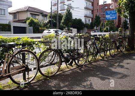 Tokio, Japan. 21. Oktober 2022. Fahrräder, die an einer Autobahn in Den-en-chofu in der Nähe der Grenze zwischen Tokio und Kawasaki geparkt sind. Transport, Nachhaltigkeit.Japan hat vor kurzem nach mehr als zwei Jahren Reiseverbote aufgrund der COVID-19-Pandemie wieder für den Tourismus geöffnet. Der Yen hat gegenüber dem US-Dollar stark abgeschrieben, was wirtschaftliche Turbulenzen für den internationalen Handel und die japanische Wirtschaft verursacht hat. Touristen können in Japan steuerfrei mit einem temporären Besuchervisum einkaufen. (Bild: © Taidgh Barron/ZUMA Press Wire) Stockfoto