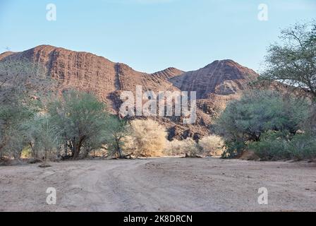 Der trockene Ugab ist ein flüchtiger Fluss in der trockenen Region Damaraland Namibia Stockfoto