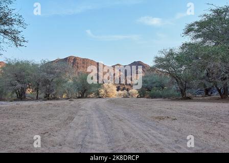 Der trockene Ugab ist ein flüchtiger Fluss in der trockenen Region Damaraland Namibia Stockfoto