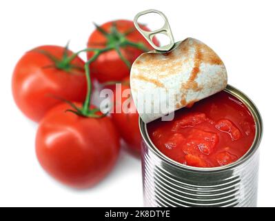 Offene Dose gehackte Tomaten aus der Dose mit ganzen frischen Tomaten auf weißem Hintergrund Stockfoto