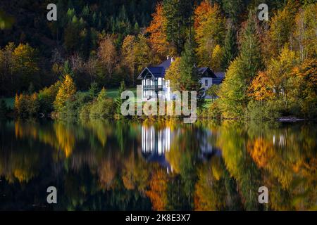 Vorderer Langbathsee Alpensee in der Herbstsaison. Reflexionen auf dem Seewasser der Bäume Herbstfarben. Ebensee, Oberösterreich. Europa. Stockfoto