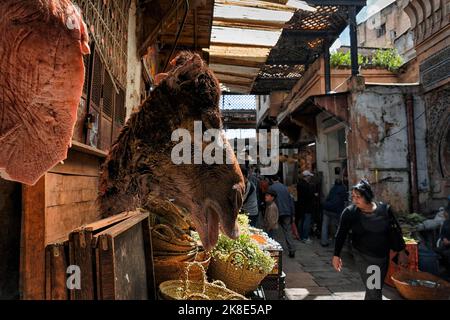 Kamelkopf und Fleisch, Spezialitäten an einem Marktstand, Metzgerei, Fußgänger im Souk, Fes el Bali, Fes, Fes-Meknes, Marokko Stockfoto