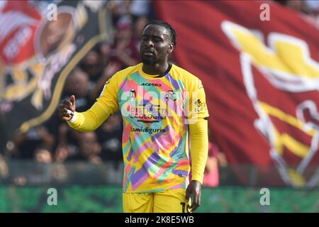 Salerno, Italien. 22. Oktober 2022. M'Bala Nzola von Spezia Calcio gesticukes während der Serie Ein Spiel zwischen US Salernitana 1919 und Spezia Calcio im Stadio Arechi (Foto: Agostino Gemito/Pacific Press) Quelle: Pacific Press Media Production Corp./Alamy Live News Stockfoto