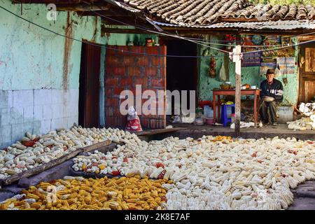 Alter Mann und bunte Maiskolben, die in den Anden in der Nähe von Cusco, Peru, Südamerika, ausgezogen wurden Stockfoto