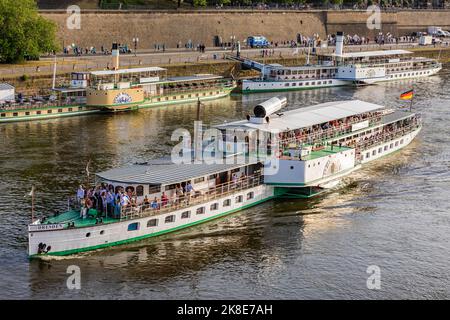 Raddampfer vor der Brühlterrasse an der Elbe, Dresden, Sachsen, Deutschland Stockfoto