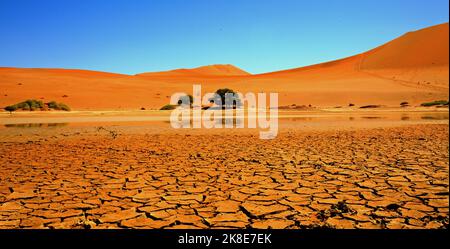 Trockenes Flussbett mit rissem, trockenem Schlamm und Lehm, der in der Namib-Wüste einen verrückten Effekt hinterlässt, der zu den Sossusvlei-Sanddünen führt Stockfoto