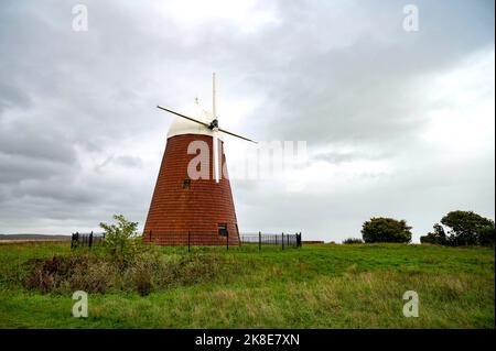 Halnaker Windmühle im Herbst auf den South Downs in der Nähe von Chichester West Sussex England Stockfoto