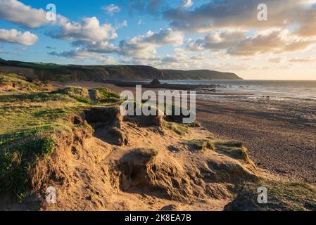 Schönes Landschaftsbild im Sommer bei Sonnenuntergang von Widemouth Bay in Devon England mit goldenem Stundenlicht am Strand Stockfoto