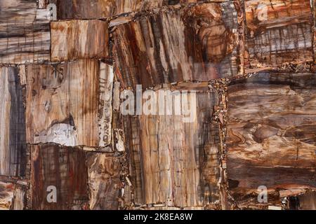 Versteinerte Holzstruktur Platte Nahaufnahme. Halbedelstein, Edelstein für keramische Wand, Boden digitale Fliesen. Mattes Material für einzigartiges Interieur, Exterieur Stockfoto