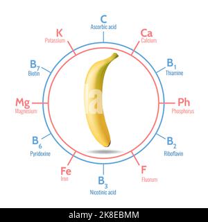 Vorteile der Banane Stock Vektor