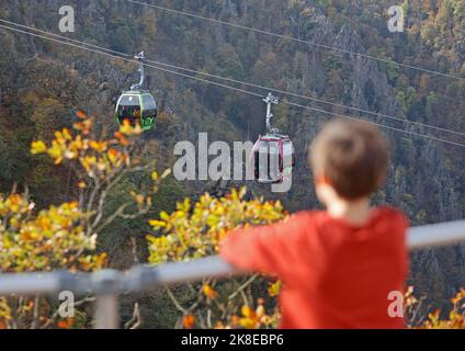 Thale, Deutschland. 23. Oktober 2022. Gondeln der Seilbahn schweben über dem Bode-Tal. Das sonnige Wetter zog wieder viele Besucher in den Harz. Die Betreiber der Bergbahnen und Skilifte im Harz erleben an diesem Wochenende mit Beginn der Herbstferien eine hohe Besucherzahl. Quelle: Matthias Bein/dpa/Alamy Live News Stockfoto