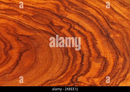 Holzstruktur aus natürlichem Olivenholz mit Ringen aus nächster Nähe Stockfoto