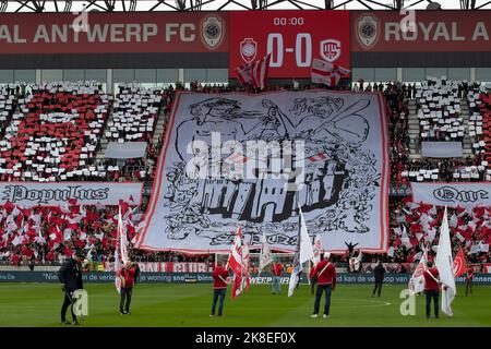 Die Anhänger Antwerpens vor einem Fußballspiel zwischen dem Royal Antwerp FC und dem KRC Genk am Sonntag, dem 23. Oktober 2022 in Antwerpen, am 14. Tag der „Jupiler Pro League“ der ersten Division der belgischen Meisterschaft 2022-2023. BELGA FOTO KRISTOF VAN ACCOM Stockfoto