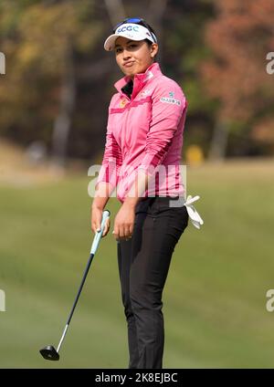 Wonju, Südkorea. 22. Oktober 2022. Atthaya Thitikul aus Thailand blickt am 22. Oktober 2022 im Oak Valley Country Club in Wonju, Südkorea, auf das dritte Grün im Finale der BMW Ladies Championship. (Foto: Lee Young-ho/Sipa USA) Quelle: SIPA USA/Alamy Live News Stockfoto