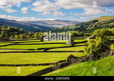 Sonnendurchflutete englische Landschaft mit Scheunen und Trockenmauern im Yorkshire Dales National Park. Gunnerside, Swaledale, North Yorkshire, England, Großbritannien Stockfoto