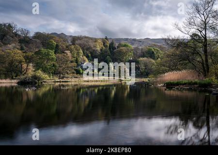 Bäume spiegeln sich in Rydal Water, English Lake District an einem ruhigen Sommertag Stockfoto