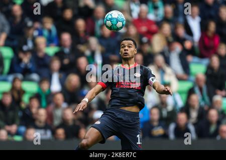 GRONINGEN, NIEDERLANDE - 23. OKTOBER: Cody Gakpo vom PSV während des niederländischen Eredivisie-Spiels zwischen dem FC Groningen und dem PSV Eindhoven am 23. Oktober 2022 bei Euroborg in Groningen, Niederlande (Foto: Peter Lous/Orange Picches) Stockfoto