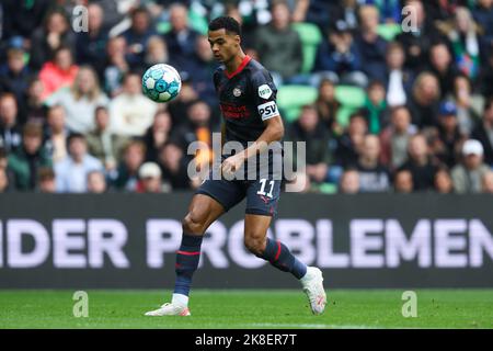 GRONINGEN, NIEDERLANDE - 23. OKTOBER: Cody Gakpo vom PSV während des niederländischen Eredivisie-Spiels zwischen dem FC Groningen und dem PSV Eindhoven am 23. Oktober 2022 bei Euroborg in Groningen, Niederlande (Foto: Peter Lous/Orange Picches) Stockfoto