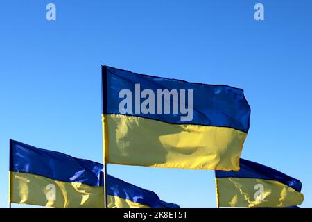 Viele der Ukraine Flagge flattert im Wind. Heroischer Kampf des ukrainischen Volkes gegen den russischen Krieg. Verfassung, Unabhängigkeit, Flagge, Tag des Verteidigers der Ukr Stockfoto