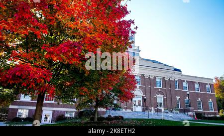 NEW CANAAN, CT, USA - 22. OKTOBER 2022: Schöner herbstfarbener Baum mit Rathaus Stockfoto