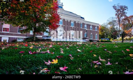 NEW CANAAN, CT, USA - 22. OKTOBER 2022: Schöner herbstfarbener Baum mit Rathaus Stockfoto