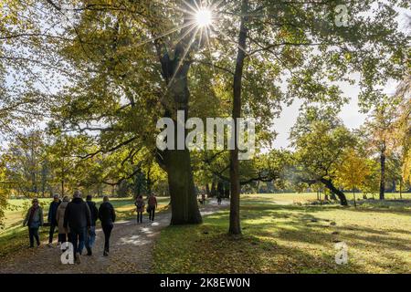 Bad Muskau, Deutschland. 23. Oktober 2022. Im Prinz-Pückler-Park in Bad Muskau sind Wanderer bei sonnigem Herbstwetter unterwegs auf den Pfaden. Ein beliebtes Ausflugsziel ist der rund 800 Hektar große Landschaftspark im englischen Stil in der Oberlausitz. Quelle: Frank Hammerschmidt/dpa/Alamy Live News Stockfoto