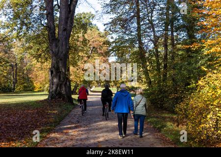 Bad Muskau, Deutschland. 23. Oktober 2022. Wanderer und Radfahrer sind bei sonnigem Herbstwetter auf den Wegen im Prinz-Pückler-Park in Bad Muskau unterwegs. Ein beliebtes Ausflugsziel ist der rund 800 Hektar große Landschaftspark im englischen Stil in der Oberlausitz. Quelle: Frank Hammerschmidt/dpa/Alamy Live News Stockfoto