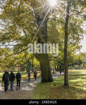 Bad Muskau, Deutschland. 23. Oktober 2022. Im Prinz-Pückler-Park in Bad Muskau sind Wanderer bei sonnigem Herbstwetter unterwegs auf den Pfaden. Ein beliebtes Ausflugsziel ist der rund 800 Hektar große Landschaftspark im englischen Stil in der Oberlausitz. Quelle: Frank Hammerschmidt/dpa/Alamy Live News Stockfoto