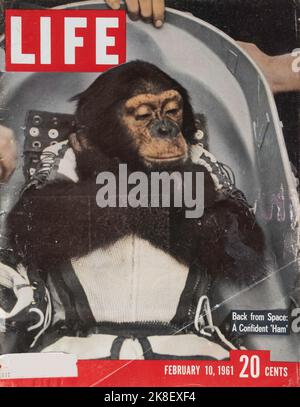 Vintage 10. Februar 1961 'Life' Magazin Cover, USA Stockfoto