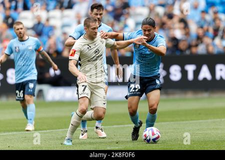 SYDNEY, AUSTRALIEN - 23. OKTOBER: Aaron Gurd vom Sydney FC tritt mit Ryan Kitto von Adelaide United während des Spiels zwischen dem Sydney FC und Adelaide United im Allianz Stadium am 23. Oktober 2022 in Sydney, Australien, um den Ball an.Quelle: IOIO IMAGES/Alamy Live News Stockfoto