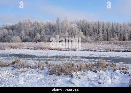 Schöne verschneite Winterlandschaft des Waldflusses verschneite Winterlandschaft Stockfoto