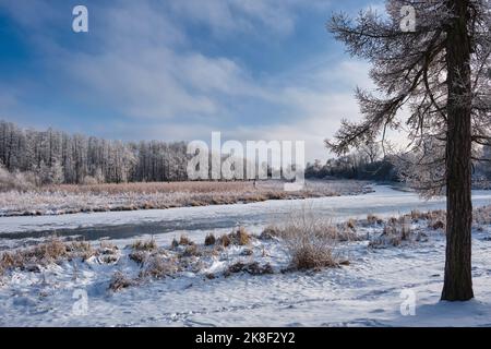 Schöne verschneite Winterlandschaft des Waldflusses verschneite Winterlandschaft Stockfoto