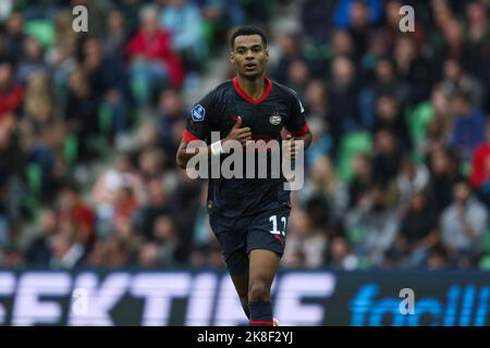 GRONINGEN, NIEDERLANDE - 23. OKTOBER: Cody Gakpo vom PSV während des niederländischen Eredivisie-Spiels zwischen dem FC Groningen und dem PSV Eindhoven am 23. Oktober 2022 bei Euroborg in Groningen, Niederlande (Foto: Peter Lous/Orange Picches) Stockfoto