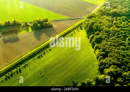 Luftaufnahme von Feldern in der Nähe von Wien, Wien, Österreich Stockfoto