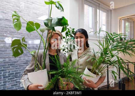 Junge Geschäftsfrauen tragen Topfpflanzen in modernen Büros Stockfoto