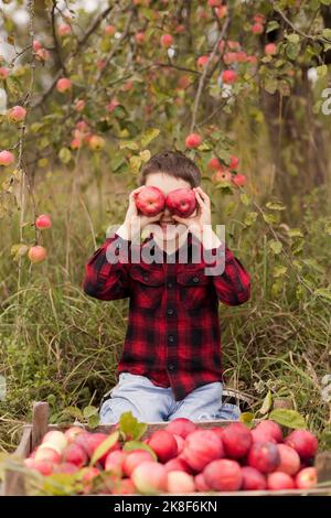 Lächelnder Junge, der rote Äpfel an der Kiste über die Augen hält Stockfoto