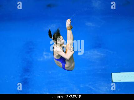 Berlin, Deutschland. 23. Oktober 2022. Chang Yani aus China tritt beim Springboard-Finale der Frauen 3m beim FINA Diving World Cup in Berlin am 23. Oktober 2022 an. Quelle: Ren Pengfei/Xinhua/Alamy Live News Stockfoto